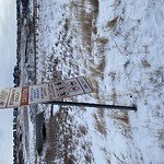 Sign on Street, Lane, Sidewalk - Repair or Replace at 229 Sage Meadows Park NW Sage Hill