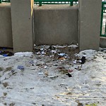 Debris on Street, Sidewalk, Boulevard at 1279 Memorial Dr NE