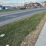 Debris on Street, Sidewalk, Boulevard at 450 Saddletowne Ci NE