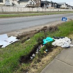 Debris on Street, Sidewalk, Boulevard at 19 Saddlemont Mr NE