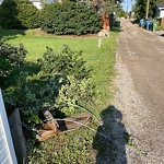 Fence Concern in a Park-WAM at 1712 22 Av NW