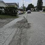 Debris on Street, Sidewalk, Boulevard at 3427 Bowmanten Pl NW