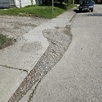 Debris on Street, Sidewalk, Boulevard at 1303 Kingston St NW