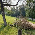 Shrubs, Flowers, Leaves Maintenance in a Park-WAM at 1411 24 St SW