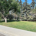 Shrubs, Flowers, Leaves Maintenance in a Park-WAM at 3007 Erlton St SW