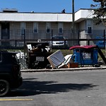 Debris on Street, Sidewalk, Boulevard at 904 Chestnut Wk SW