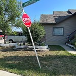 Sign on Street, Lane, Sidewalk - Repair or Replace at 397 Evanston Vw NW