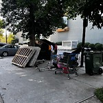 Debris on Street, Sidewalk, Boulevard at 55 Spruce Pl SW