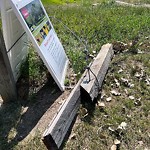 Fence Concern in a Park-WAM at 66 Macewan Park Vw NW