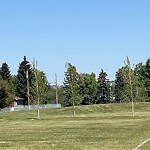 Shrubs, Flowers, Leaves Maintenance in a Park-WAM at 4620 Vegas Rd NW