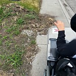 Debris on Street, Sidewalk, Boulevard at 6259 Penworth Rd SE