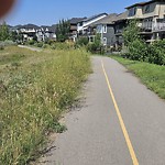 DO NOT USE - Mowing in a Park - Residential Boulevard up to 50km/h-WAM at Legacy Mount SE Southeast Calgary Calgary