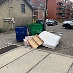 Debris on Backlane at 1807 9 St SW