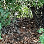 Fence Concern in a Park-WAM at 1172 4 Av SW