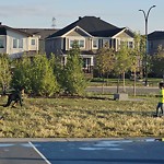 DO NOT USE - Mowing in a Park - Residential Boulevard up to 50km/h-WAM at 115 Carrington Pz NW