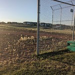 DO NOT USE - Mowing in a Park - Residential Boulevard up to 50km/h-WAM at 338 Evansdale Way Nw, Calgary, Ab T3 P 0 C1, Canada