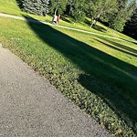 DO NOT USE - Mowing in a Park - Residential Boulevard up to 50km/h-WAM at 143 Valhalla Cr NW