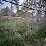 Fence Concern in a Park-WAM at 5802 133 St NW