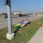 Debris on Street, Sidewalk, Boulevard at 1716 84 St SE