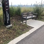 Shrubs, Flowers, Leaves Maintenance in a Park-WAM at 5001 13 Av NW