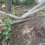 Fence Concern in a Park-WAM at 9764 15 St SE