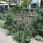 Shrubs, Flowers, Leaves Maintenance in a Park-WAM at 116 4 Av SW