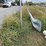 Shrubs, Flowers, Leaves Maintenance in a Park-WAM at 704 4 St NE