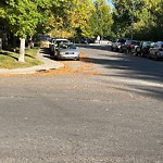 Debris on Street, Sidewalk, Boulevard at 27 Hemlock Cr SW