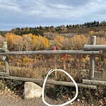 Fence Concern in a Park-WAM at 4500 14 A St SW