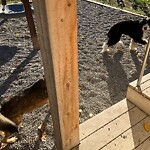 Fence Concern in a Park-WAM at 101 30 Av SW