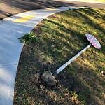 Sign on Street, Lane, Sidewalk - Repair or Replace at 5204 Montalban Av NW