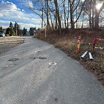 Furniture or Structure Concern in a Park-WAM at 1120 24 St SW