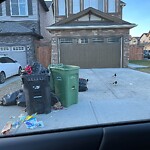 Debris on Street, Sidewalk, Boulevard at 49 Nolancrest Gr NW