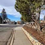 Sign on Street, Lane, Sidewalk - Repair or Replace at 1446 26 St SW