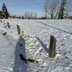 Fence Concern in a Park-WAM at 1463 Lake Michigan Cr SE