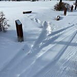 Fence Concern in a Park-WAM at 2024 60 St SE