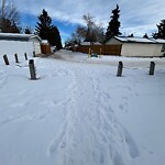 Fence Concern in a Park-WAM at 11024 Braeside Dr SW