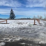 Fence Concern in a Park-WAM at 359 Lynnview Rd SE