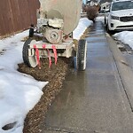 Debris on Street, Sidewalk, Boulevard at 71 Castleridge Cr NE