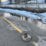 Pedestrian and Cycling Pathway - Repair - WAM at 1636 56 Av SW