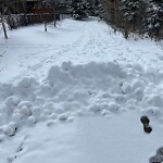 Snow On City-maintained Pathway or Sidewalk-WAM (OLD SR) at 56 Cranwell Gr SE