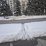 Snow On City-maintained Pathway or Sidewalk-WAM (OLD SR) at 501 11 St SW