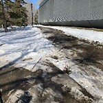 Snow On City-maintained Pathway or Sidewalk-WAM (OLD SR) at 98 22 Av SW