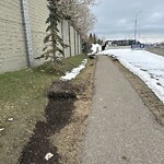 Pedestrian and Cycling Pathway - Repair - WAM at 6700 17 Av SW