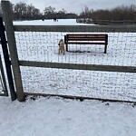 Fence Concern in a Park-WAM at 9722 15 St SE