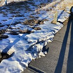 Fence Concern in a Park-WAM at 5944 Silver Ridge Dr NW