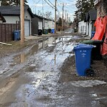 Pothole Repair at 2642 4 Av NW