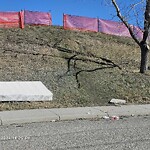 Debris on Street, Sidewalk, Boulevard at 90 Ventura Rd NE