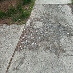 Sidewalk or Curb - Repair at 1623 27 Av SW