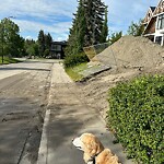 Debris on Street, Sidewalk, Boulevard at 3614 10 St SW